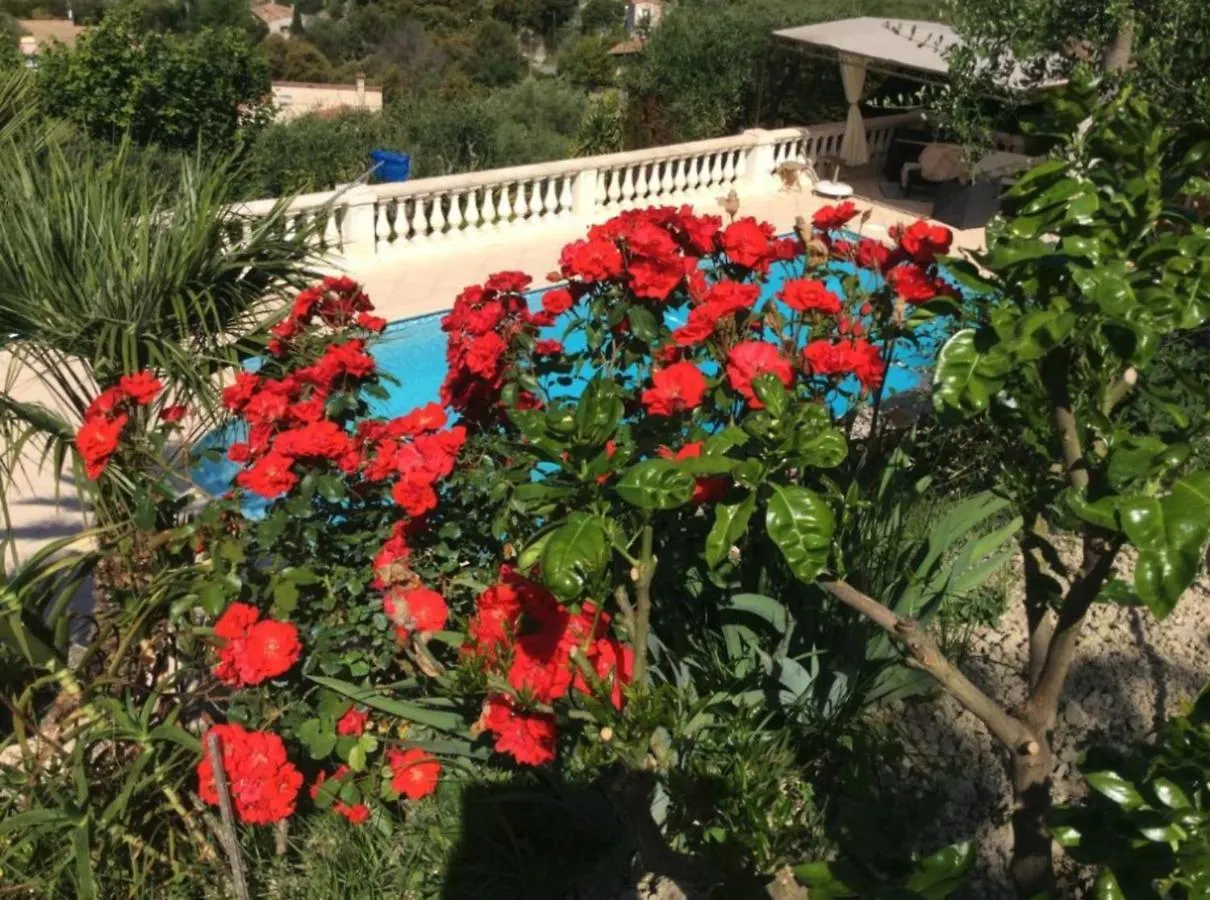 Les Oliviers Apartment Saint-Andre  Saint-Andre (Alpes-Maritimes)
